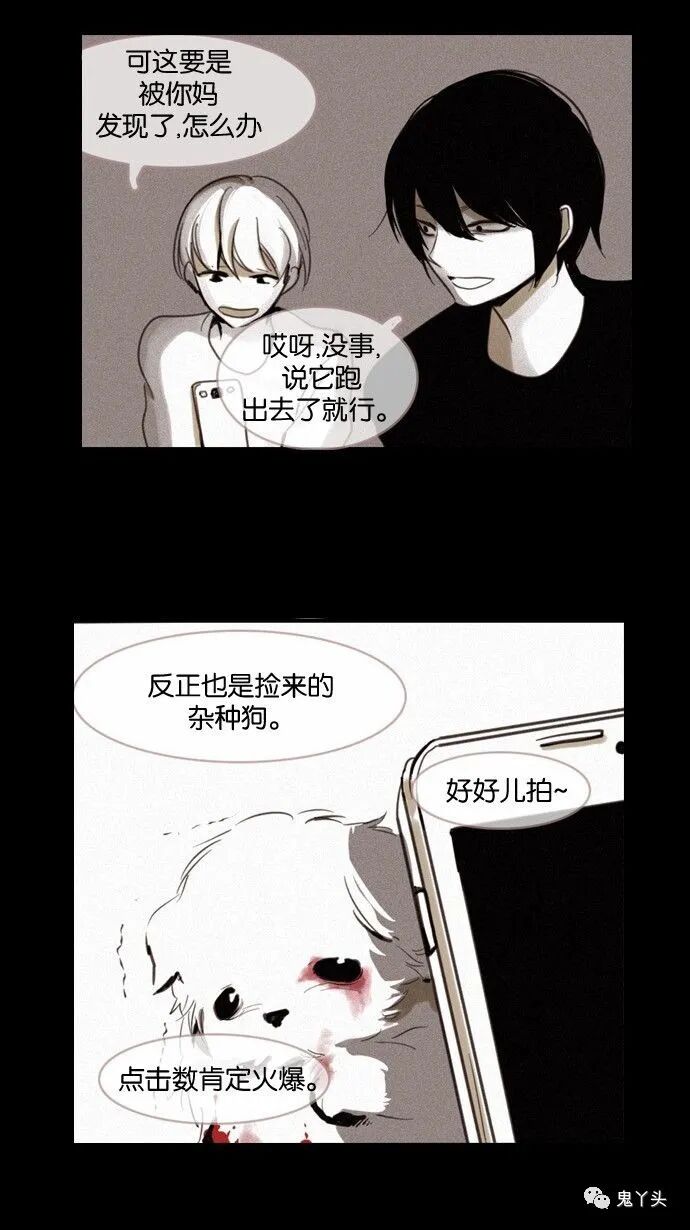 ͼƬ