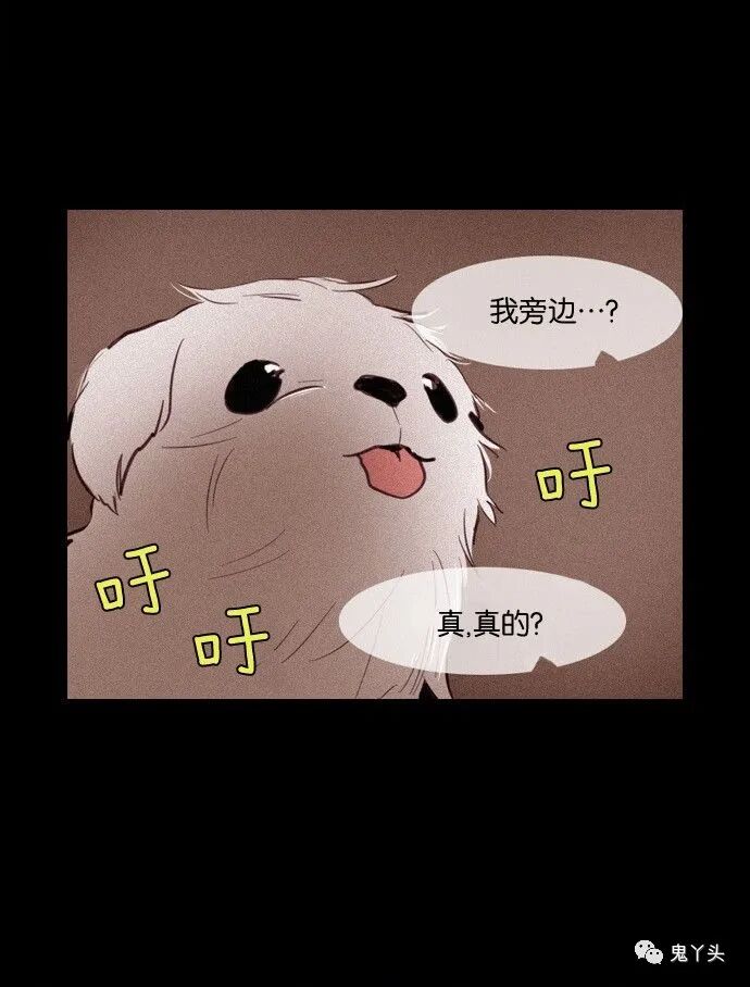 ͼƬ