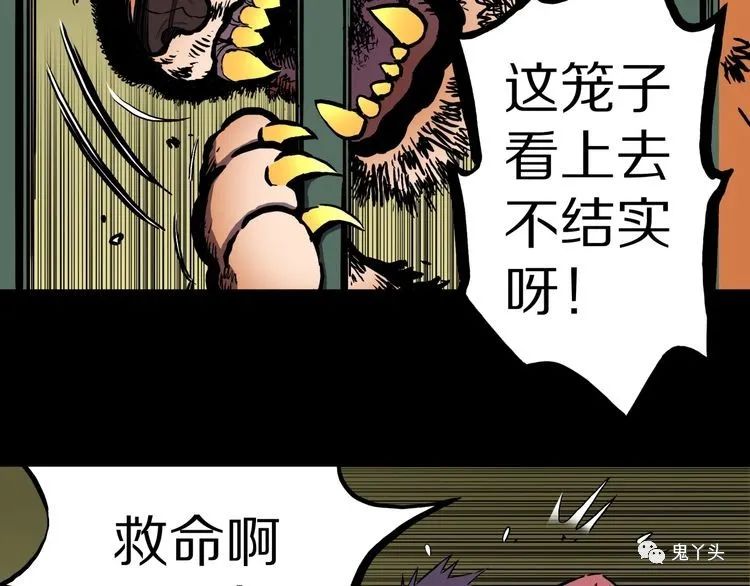 ͼƬ