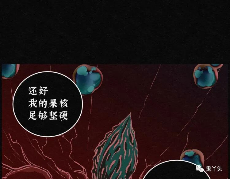 ͼƬ