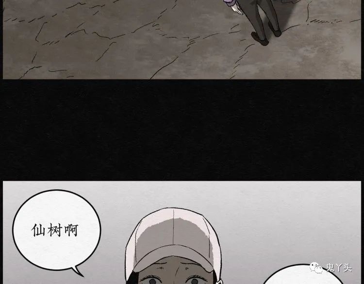 ͼƬ