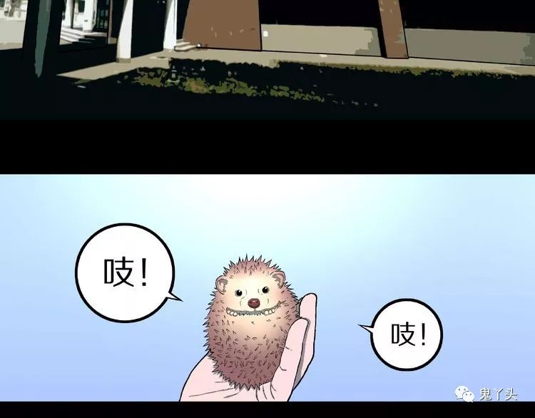 ͼƬ