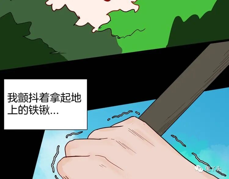 ͼƬ