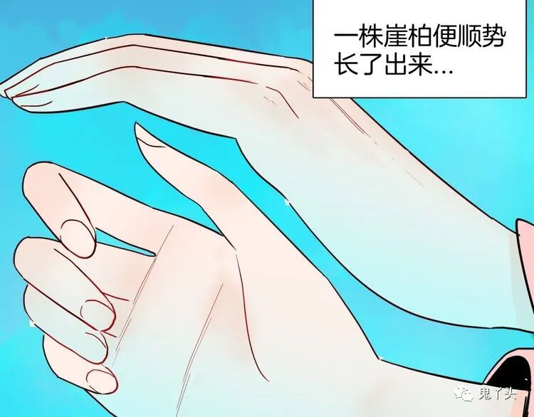 ͼƬ