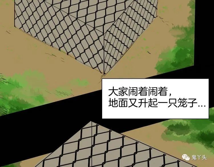 ͼƬ