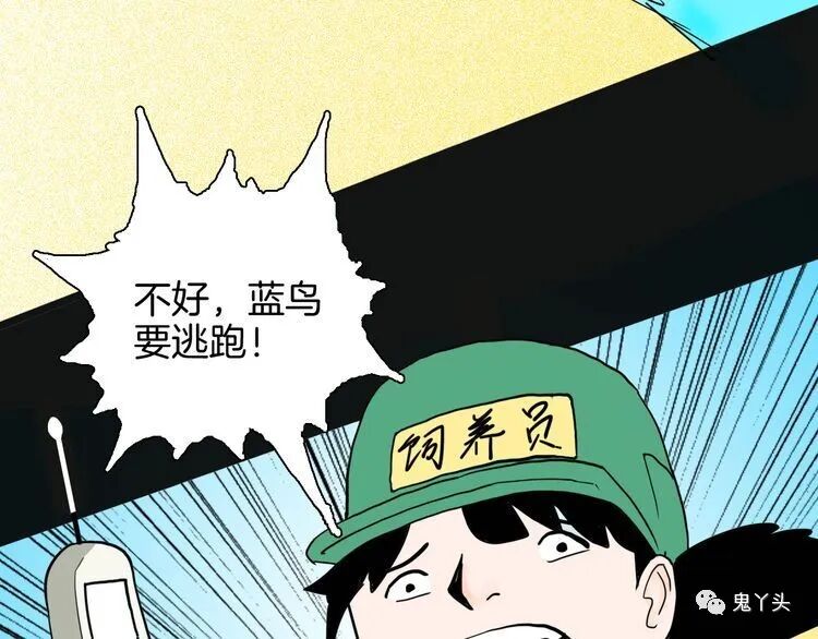 ͼƬ