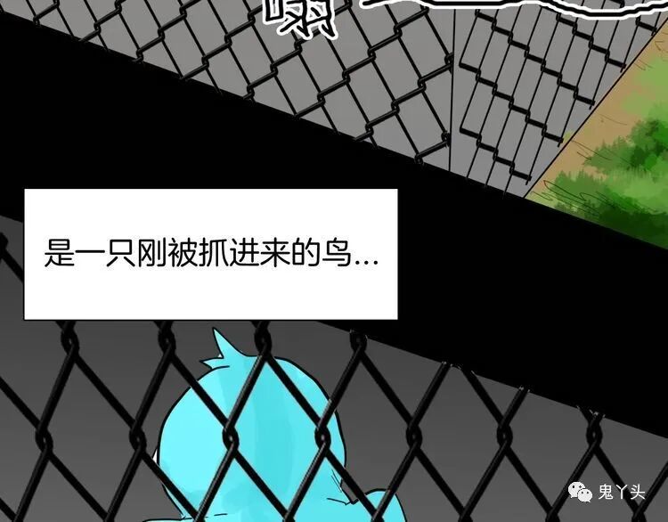 ͼƬ