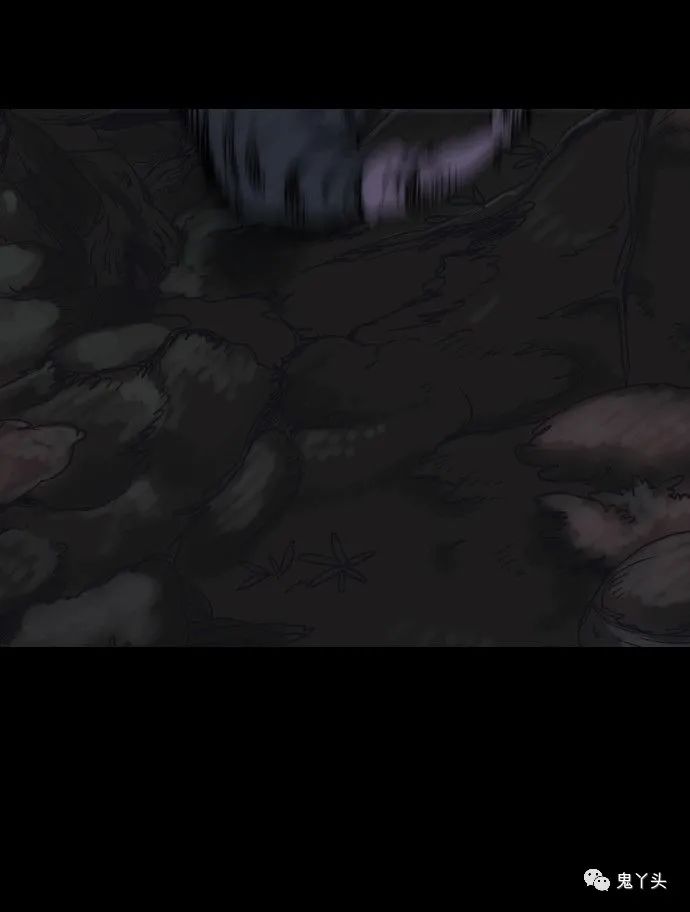 ͼƬ