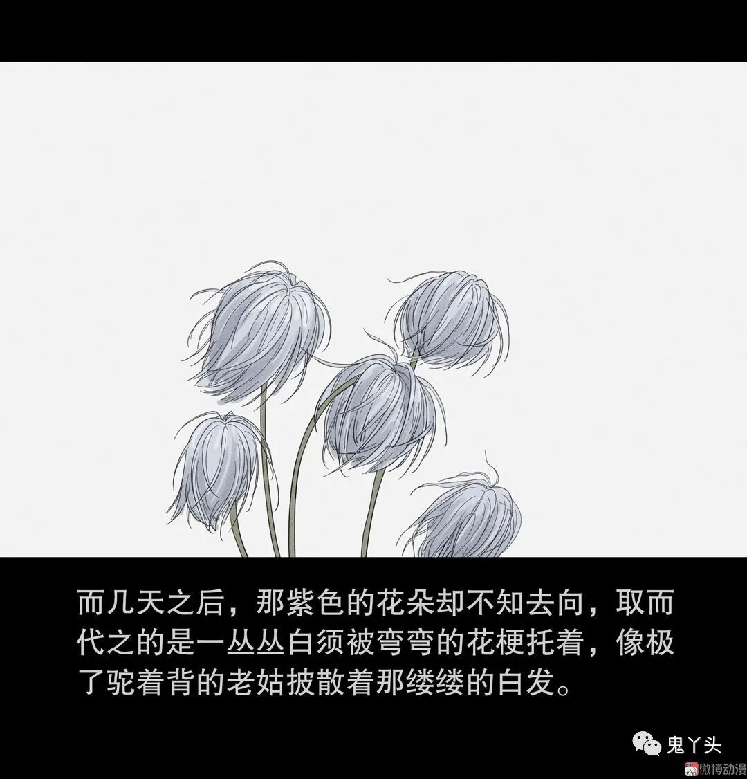 ͼƬ