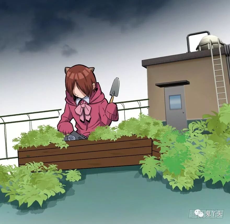ͼƬ