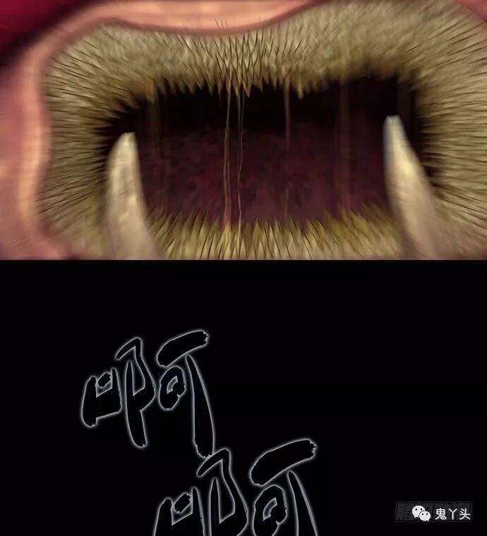 ͼƬ