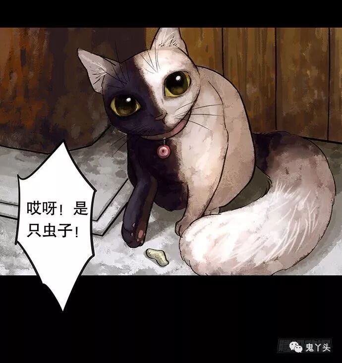 ͼƬ
