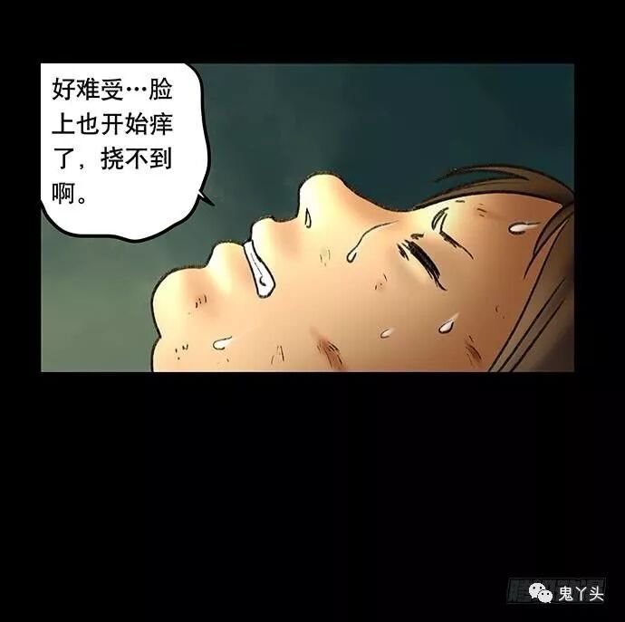 ͼƬ