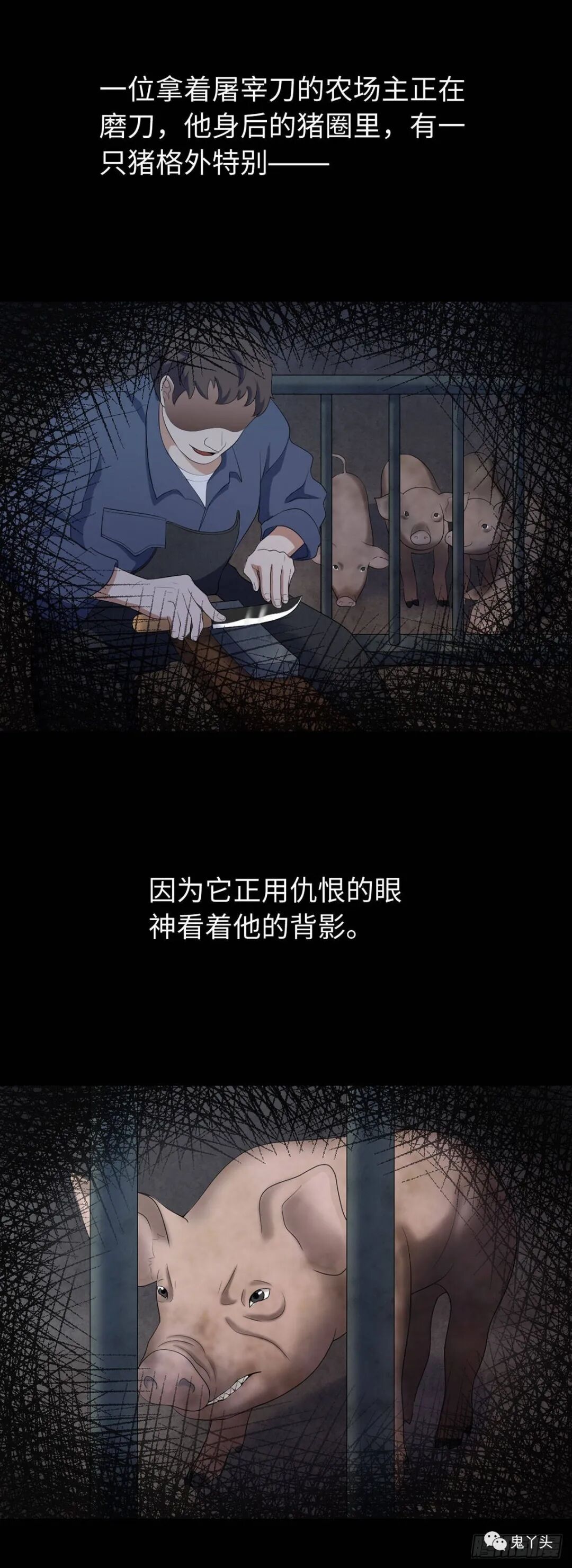 ͼƬ