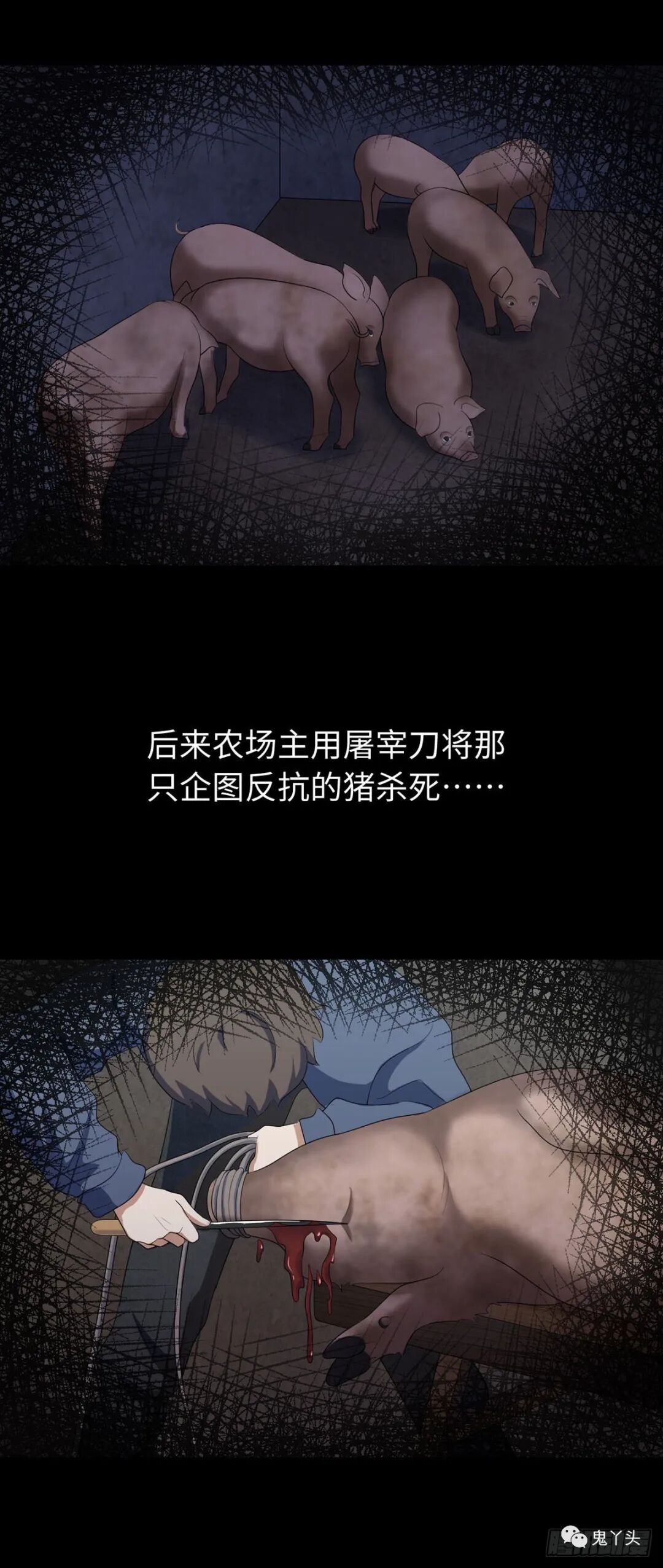 ͼƬ