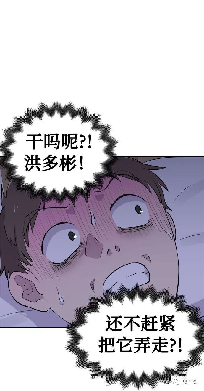 ͼƬ