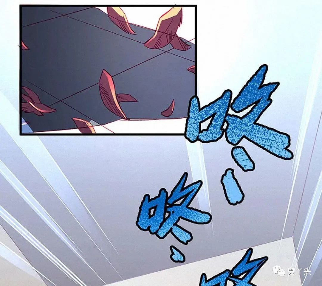 ͼƬ