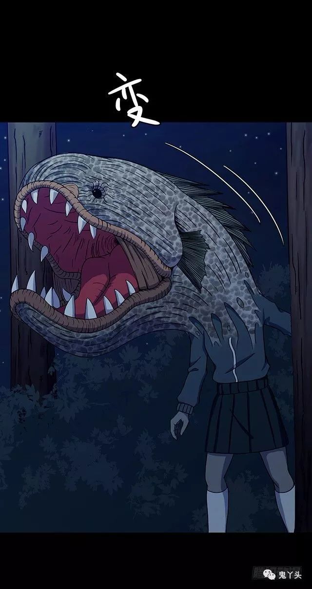 ͼƬ