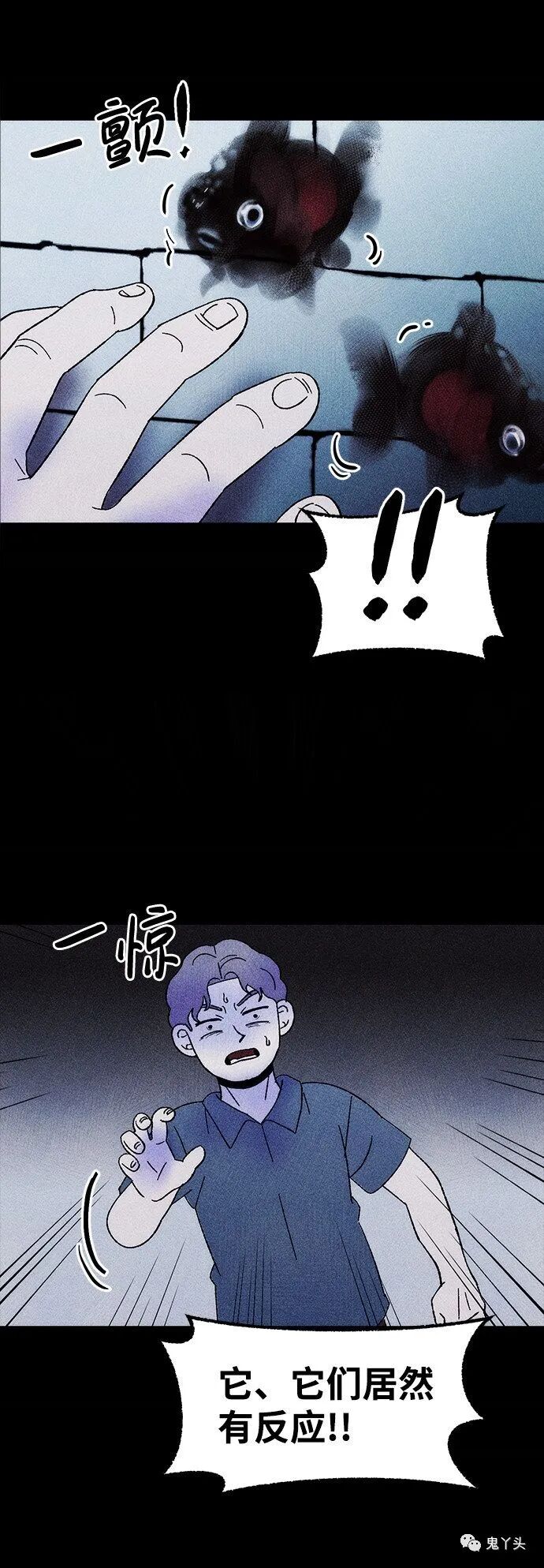 ͼƬ