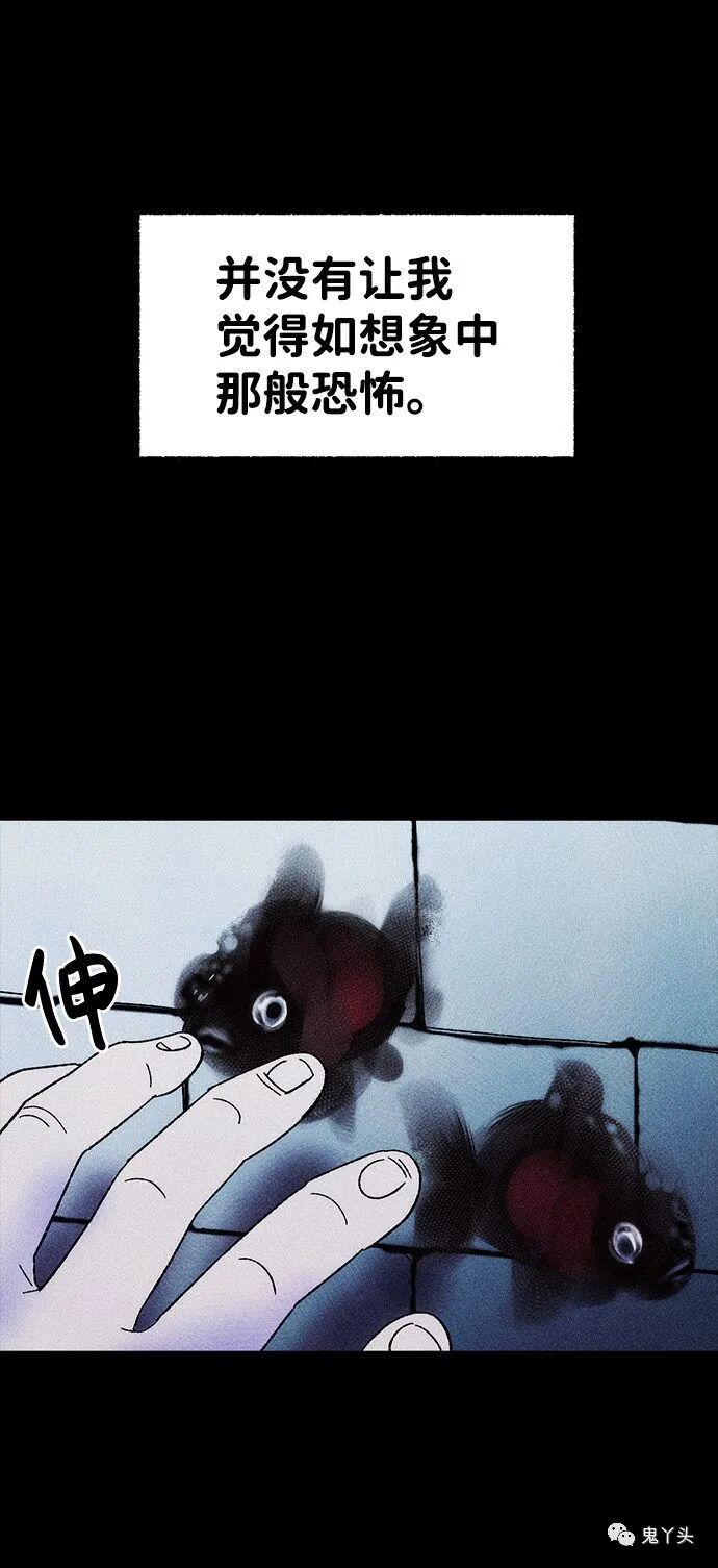 ͼƬ