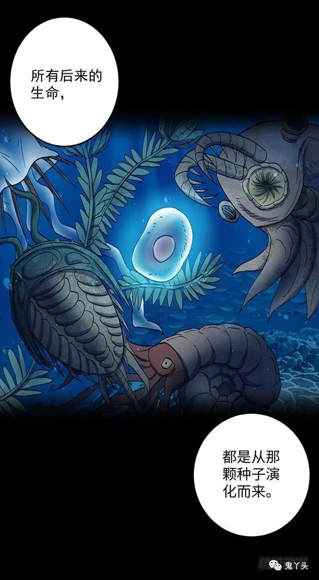 ͼƬ