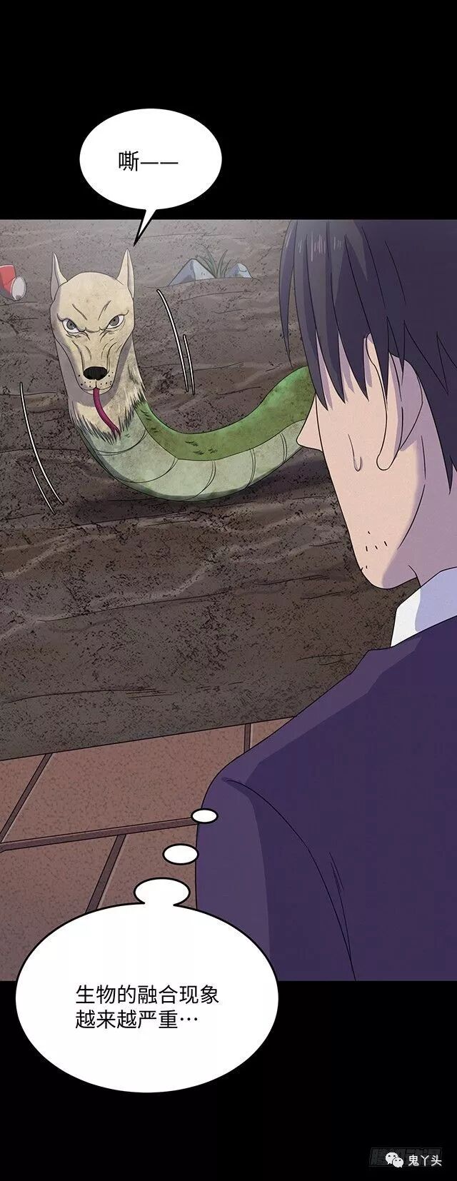 ͼƬ