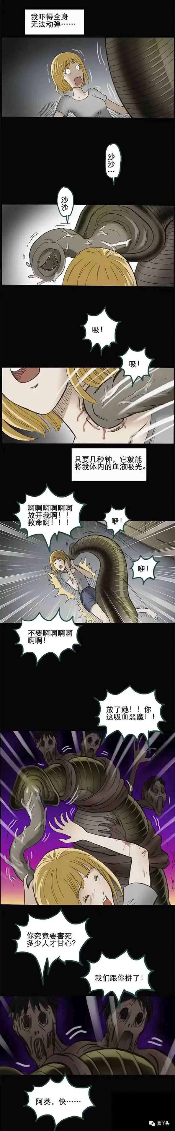 ͼƬ