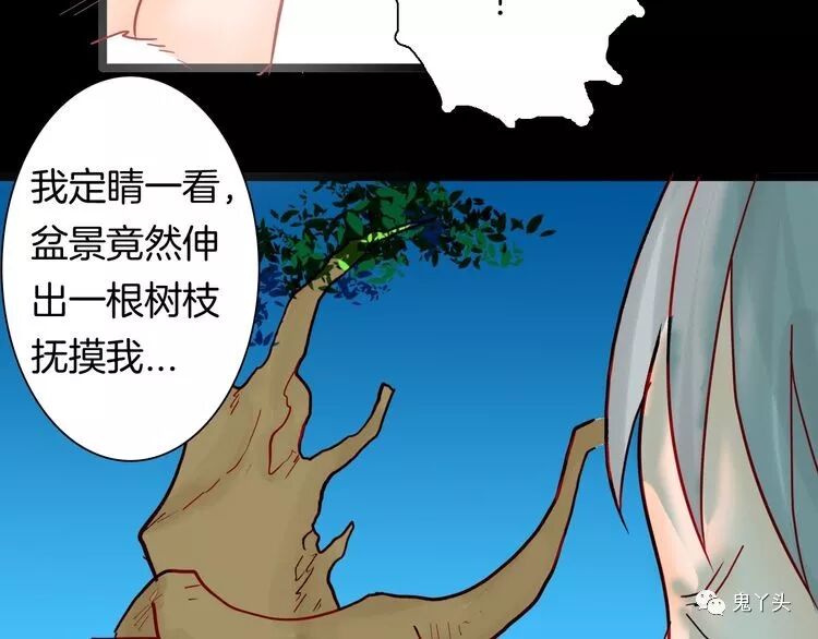 ͼƬ