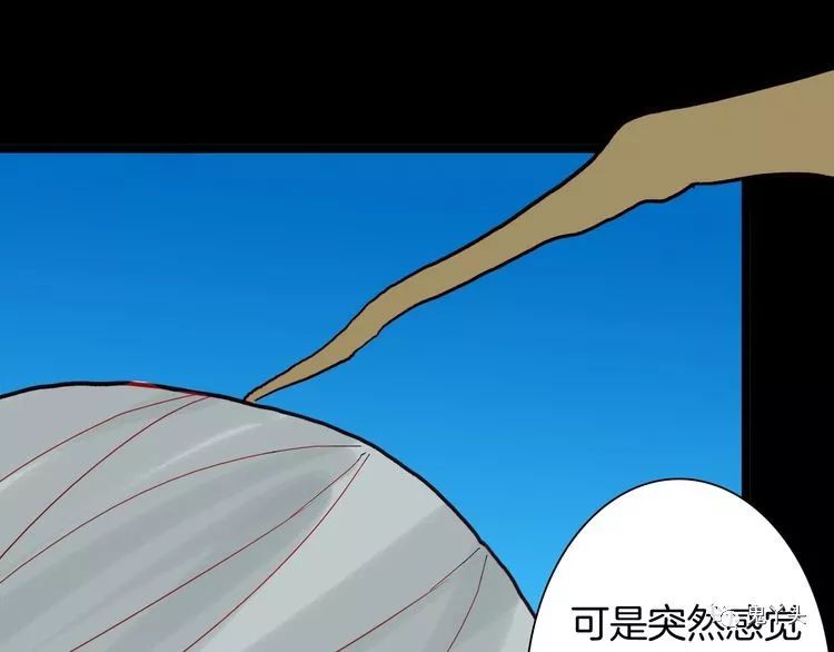 ͼƬ