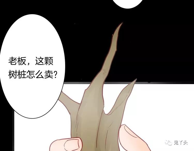 ͼƬ