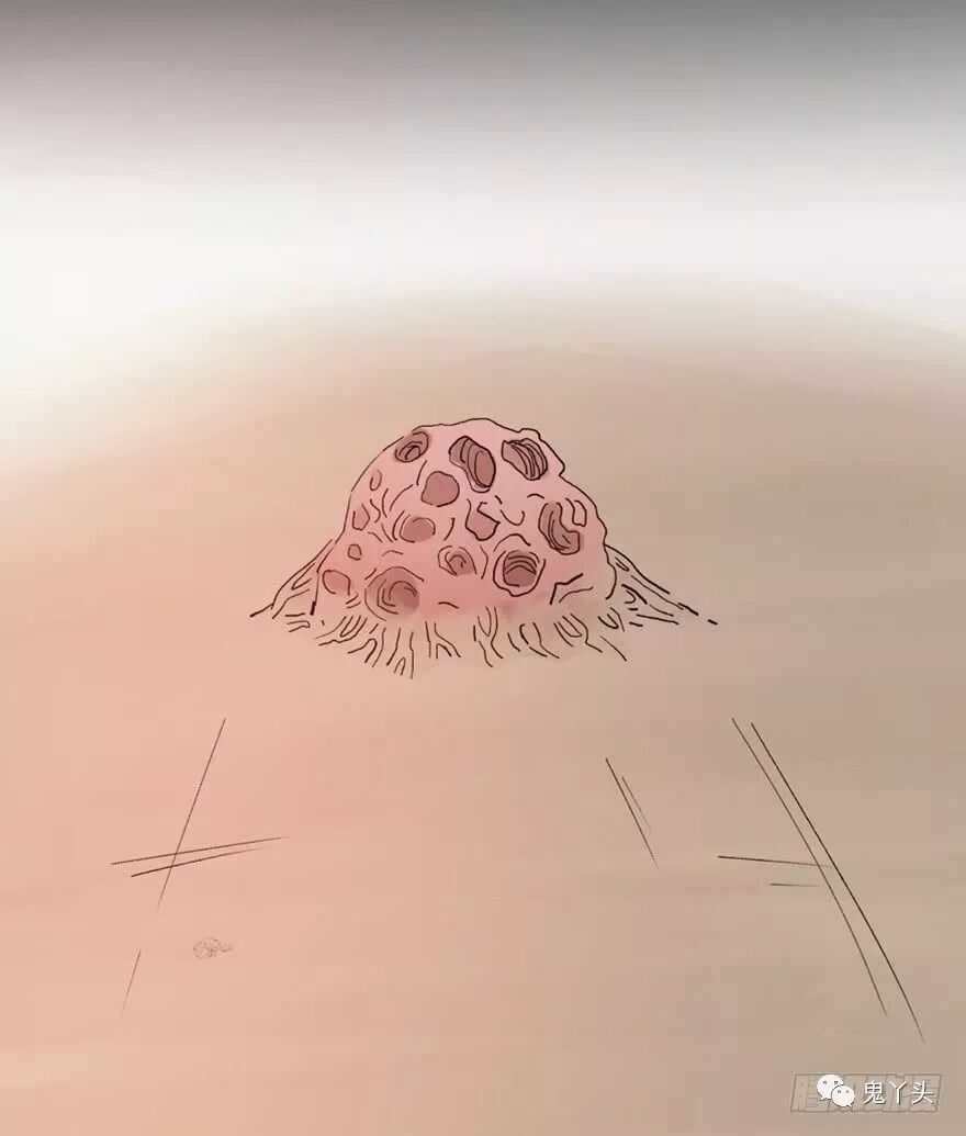 ͼƬ