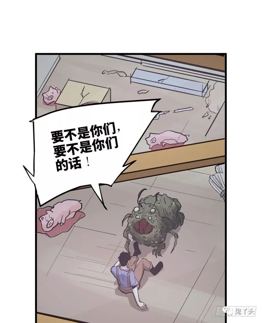 ͼƬ