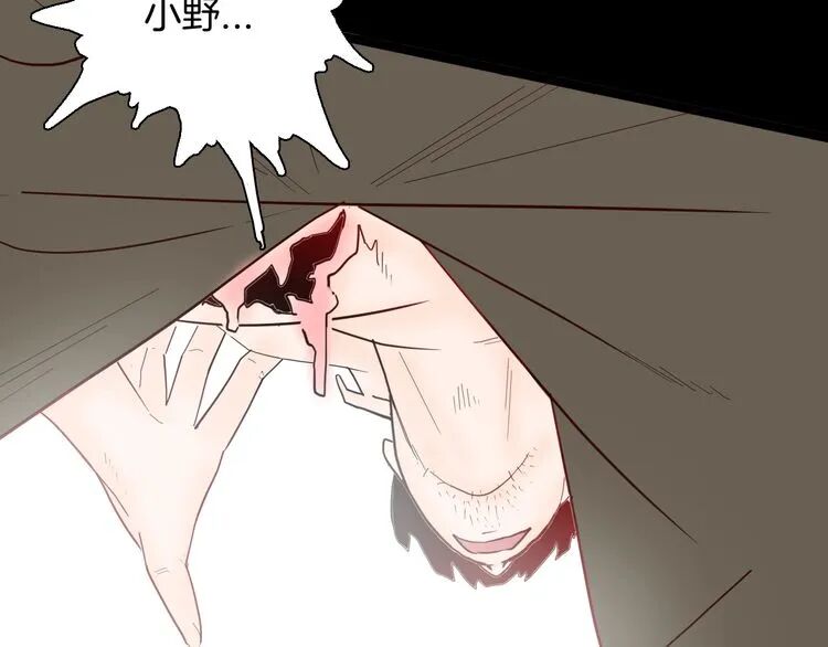 ͼƬ