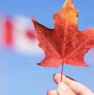 加拿大新移民超标破纪录