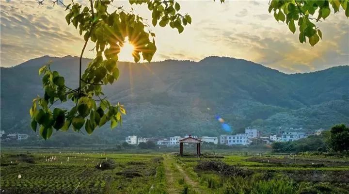 莆田常太镇旅游景点图片