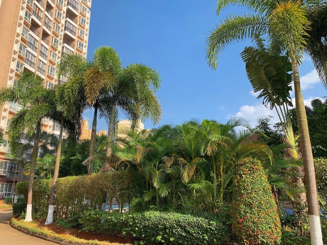 亲人的爱是照料AD患者最好的良药