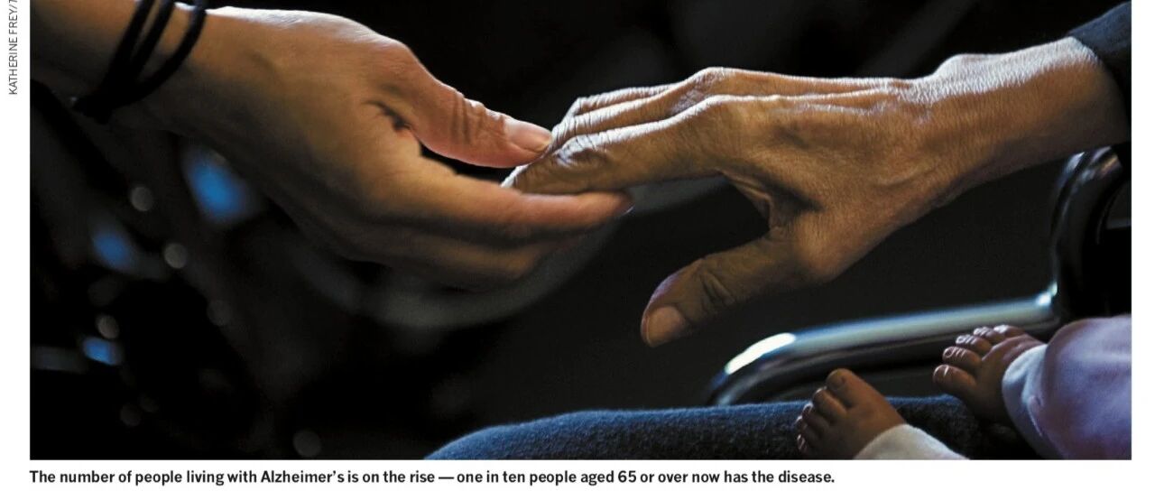 好消息|招募阿尔茨海默病临床研究志愿者