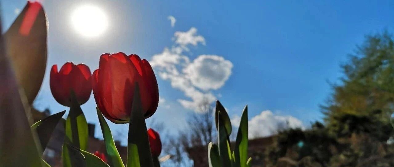 阿尔茨海默病权威科普-早期识别、早期干预