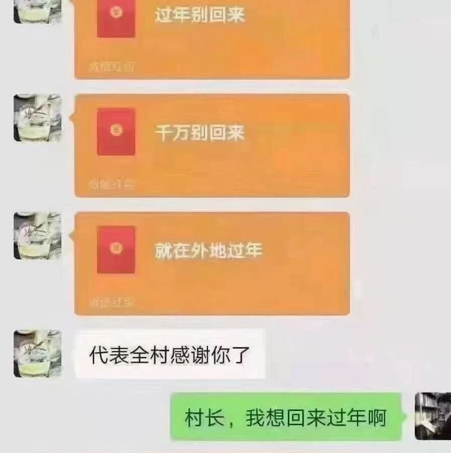 过年别回来