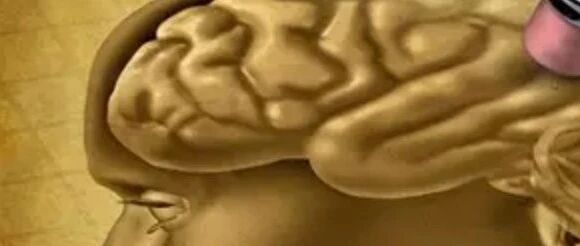 建议收藏|中国AD临床前期联盟|盟成员单位记忆门诊分布表