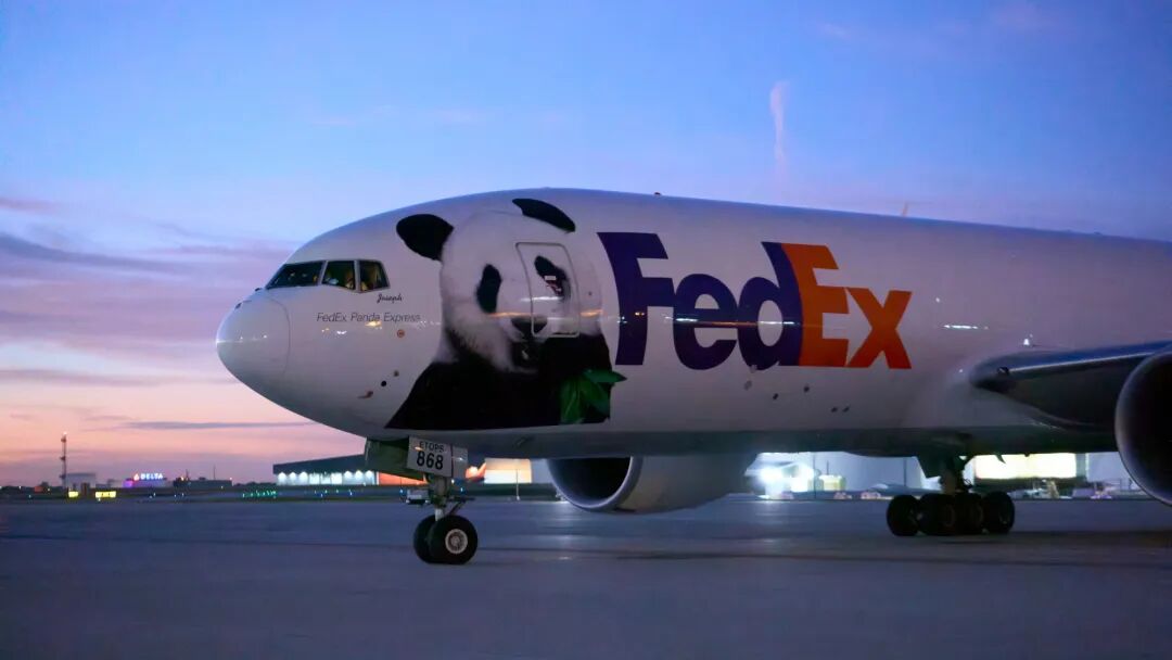 中国大熊猫平平福双飞抵美国亚特兰大 开启10年旅居生活