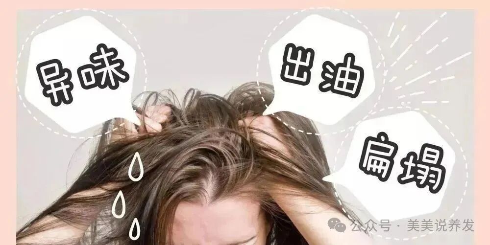 这里看过来，美美告诉你头发爱出油的原因！