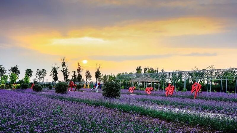 精彩莱西：建设大青岛北部绿色崛起的典范之城