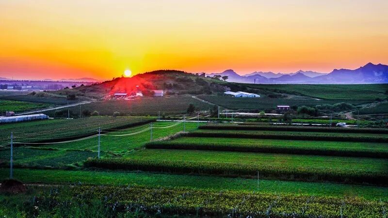 精彩莱西：建设大青岛北部绿色崛起的典范之城