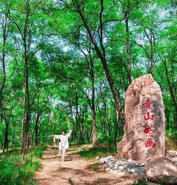 精彩莱西：建设大青岛北部绿色崛起的典范之城