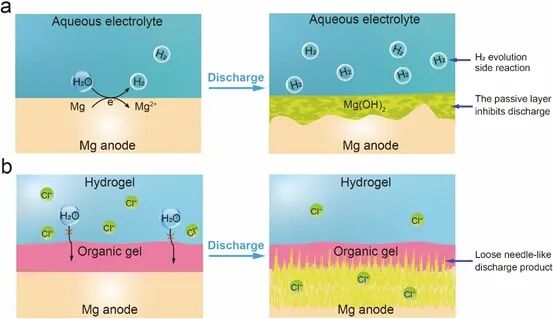 南京大學張曄課題組《Angew》：一種高能量密度的鎂空氣電池！的圖2