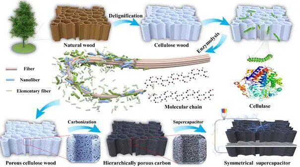 南京林业大学《AFM》：超级电容器研究获得重要进展！的图1