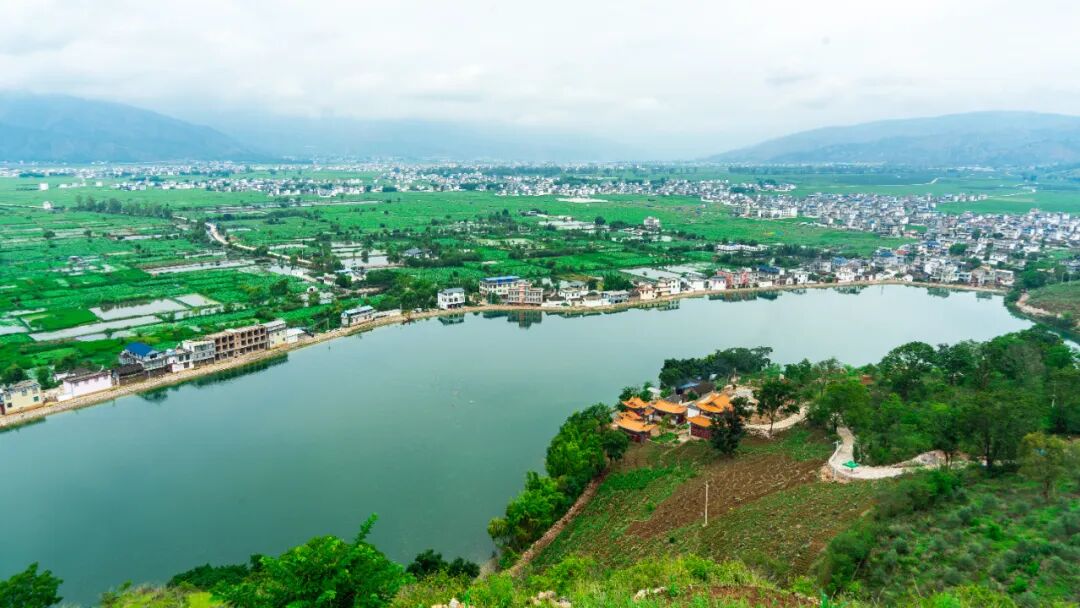 三川坝第一波荷花已开快来打卡品美食