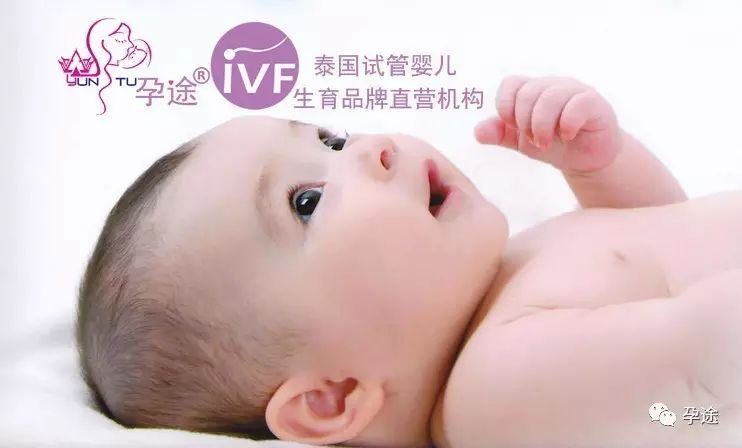 【孕途泰国试管婴儿】黄体和黄体酮是什么?对怀孕有哪些影响?