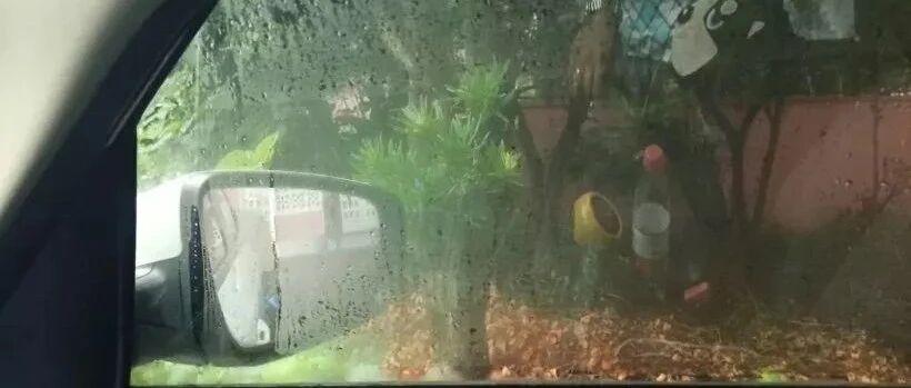 解决驾驶人的“当雾之急”  冬天行驶车窗起雾解决方法看这里